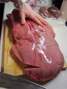 organ meats bison liver