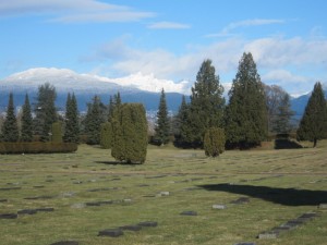 findagrave Mountain View 018