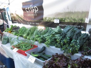 main st farmers market 